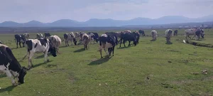 آبگرم ایستی سو گرمه چشمه اردبیل