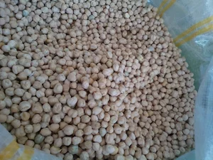 برنج گیلان