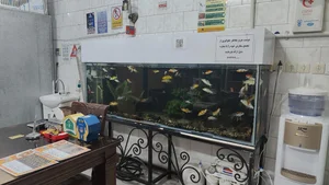کباب سرای قائم 2