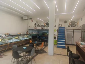 بستنی شاد شعبه سنندج 4