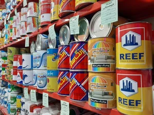 فروشگاه رنگ کوهستانی 3