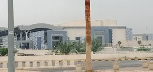 DGS