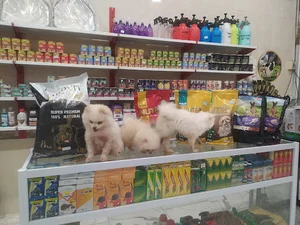 داروخانه آبان