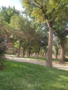 بوستان باهنر 4