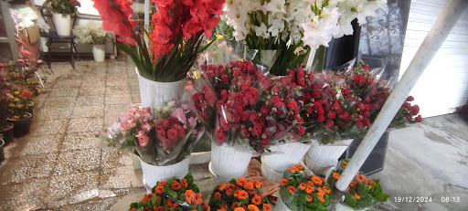 سنگتراشی علوی