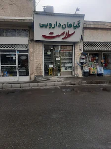 چرم روشینا