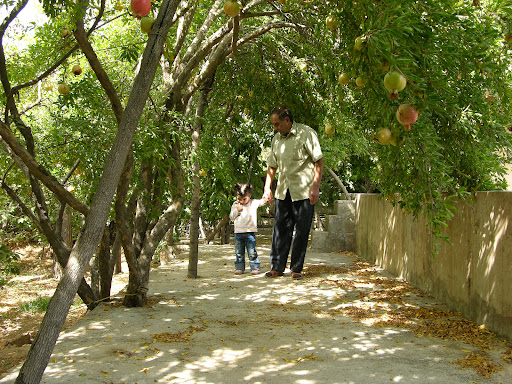 باغ سرهنگ