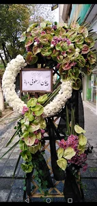 آرا گل