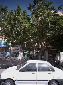 خدمات کامپیوتر