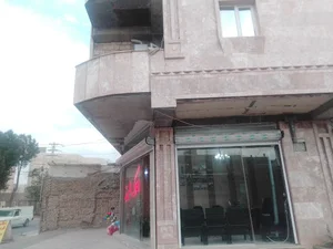 میوه فروشی راد