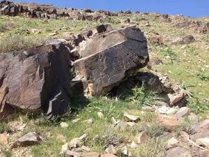 اکو بوستان فردوسی