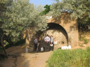 رستوران آرپادرسی