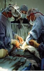 مطب دکتر صبا ابراهیمیان