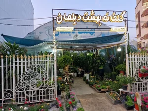 بهشت دیلمان beheshte deylaman 5