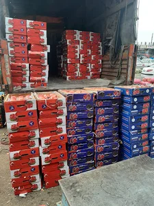 میدان میوه و تره مرکزی بار زنجان