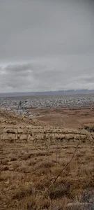 خانه بازی فان زی