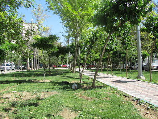 میدان ۲۰
