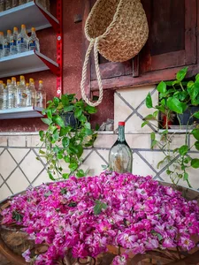 گلابگیری سنتی ، اقامت ورستوران (گل گندم)