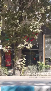 کته کبابی پونه