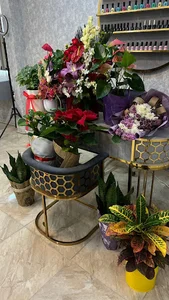 زیباسرای تخصصی عسل - بهترین آرایشگاه دامغان