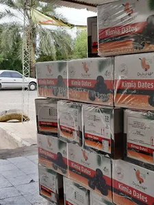سردخانه عنبر صنعت خرما