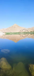 استار فیلم پلدختر