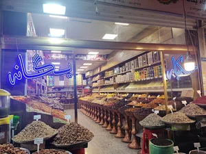 خشکبار یگانه