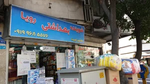 شوینده و بهداشتی رویا 2