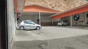 کارواش شهروند