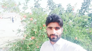 میوه فروشی یاسر