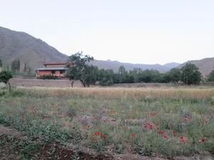 بهار اردهال
