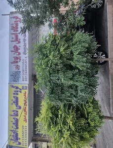 گروه صنعتی دما صنعت اصفهان
