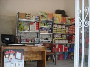 الکتریکی محمدی