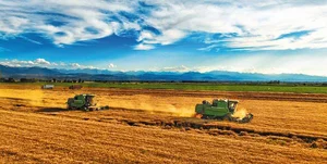 Liyan Farm