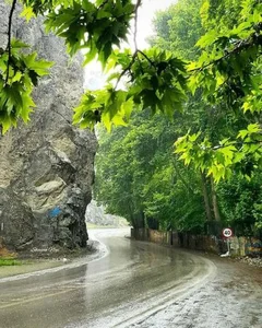 پارک ساحلی سبز میدان