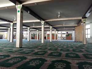 مسجد النبی (ص)