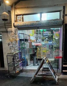 دنیای پرندگان امید