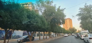 مسجد امام موسی کاظم