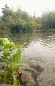 سراب قره بلاغ