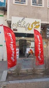 غذای پرندگان درویش
