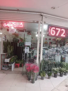 گل فروشی ونوس