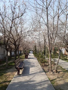 بوستان افرا