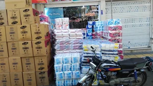 شوینده و بهداشتی سادات 2