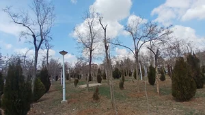 بوستان شقایق