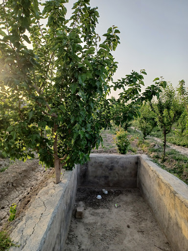 باغچه