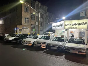 اتو گالری مجتبی محمدی 4