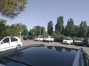 مجتمع شوق زندگی