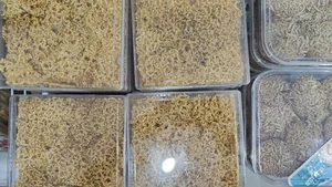 شیرمال سرای رضا 2