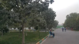 پارک شادی گرمسار