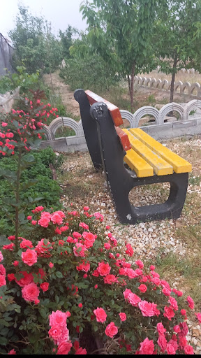 باغ محمود احمدی
